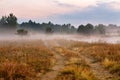 Foggy dirt road at summer morning riverbank. Misty dawn at summer meadow Royalty Free Stock Photo