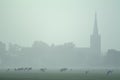 Foggy Dutch landscape with cows and a church