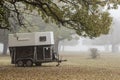 Foggy early morning caravan for horses