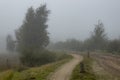 Foggy early morning heather moorland landscape Royalty Free Stock Photo