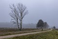 Foggy early morning heather moorland landscape Royalty Free Stock Photo