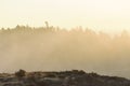 Foggy early morning sunrise at Tower Point, Southern Vancouver Island,