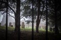 Foggy eerie graveyard mist creepy fog around headstones grave stones peaceful atmosphere old abandoned derelict English churchyard Royalty Free Stock Photo