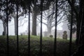 Foggy eerie graveyard mist creepy fog around headstones grave stones peaceful atmosphere old abandoned derelict English churchyard Royalty Free Stock Photo