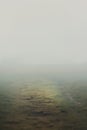 foggy empty rural grass landscape. fantasy and mysterious. Royalty Free Stock Photo