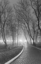 Foggy evening in the city park. Black and white. Royalty Free Stock Photo