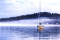Foggy Evening in the Harbor Royalty Free Stock Photo