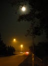 Foggy evening, night in Poland Royalty Free Stock Photo