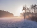Foggy evening over snow-covered fields. Royalty Free Stock Photo