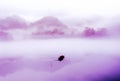 The Foggy Fairyland on Dongjiang River Royalty Free Stock Photo