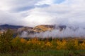 Foggy fall boreal forest taiga hills Yukon Canada Royalty Free Stock Photo