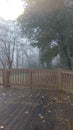 Foggy fall day on the deck