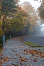 Foggy Fall Morning Royalty Free Stock Photo