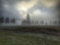 Foggy fall morning Royalty Free Stock Photo