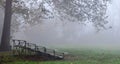 A foggy, fall morning at a soccer field with bleachers under a tree Royalty Free Stock Photo