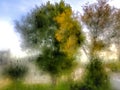 Foggy fall morning trees Royalty Free Stock Photo