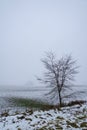 Foggy Field in Ontario