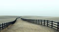 Foggy Field Path with Dark Fence Royalty Free Stock Photo