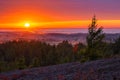 Foggy flatland riverside at golden summer sunrise with lone tree on slope in foreground