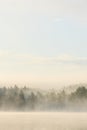 Foggy forest and lake at dawn Royalty Free Stock Photo