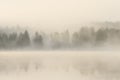 Foggy forest and lake at dawn Royalty Free Stock Photo
