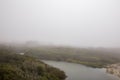 Foggy forest with lush greenery along the sides of a winding river in Central California Coast