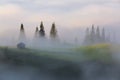 Foggy forest. Majestic spring day. The early morning mist. Landscape with high mountains. The lawn with green grass. Royalty Free Stock Photo