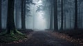 A foggy forest with a narrow trail and a wooden fence, inviting the viewer to explore Royalty Free Stock Photo