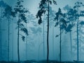 Foggy forest