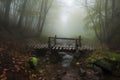 foggy forest with old wooden bridge over a brook Royalty Free Stock Photo