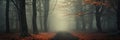 foggy forest with picturesque trees misty foggy forest foggy day Royalty Free Stock Photo