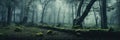 foggy forest with picturesque trees misty foggy forest foggy day Royalty Free Stock Photo