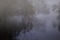 Foggy forest river at night Royalty Free Stock Photo