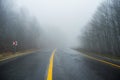 Foggy forest road Royalty Free Stock Photo