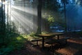 Foggy Forest with sun beam, Lynn Valley Park