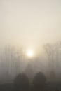 Foggy, gloomy landscape with sun rising. Royalty Free Stock Photo