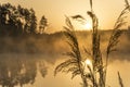 Foggy golden morning near lake