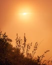 Foggy golden sky at sunrise from the top of the mountain