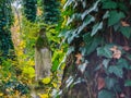 Foggy Graveyard at night. Old Spooky cemetery in moonlight through the trees Royalty Free Stock Photo