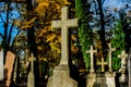 Foggy Graveyard at night. Old Spooky cemetery in moonlight through the trees Royalty Free Stock Photo