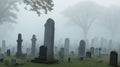 A foggy graveyard with tombstones casting long shadows