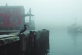 Foggy Harbor Abstraction