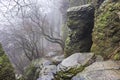 Foggy hike trail at Basalt organ pipes of Szent Gyorgy hill in Hungary