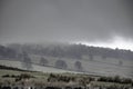 Foggy hill on british countryside Royalty Free Stock Photo