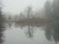 Foggy Island in Fishtrap Creek Royalty Free Stock Photo