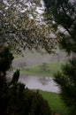 Foggy Japanese Garden Frame Royalty Free Stock Photo