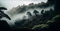 Foggy jungle morning African jungle - AI generated image