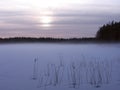 Foggy lake