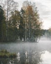 Foggy lake in a birch forest in autumn Royalty Free Stock Photo