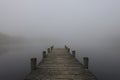 Foggy lake in Lakewood in New Jersey